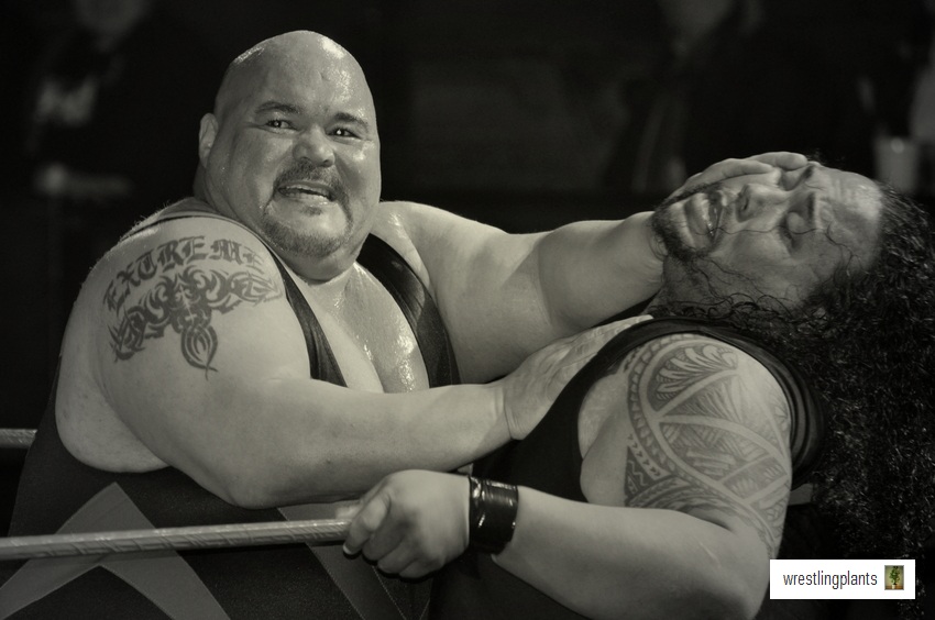 Cannonball Grizzly vs Alofa